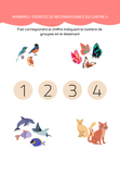 Cahier d'activités 3-4 ans Fille nombres et formes Vol 2 | 41 pages | 7x10