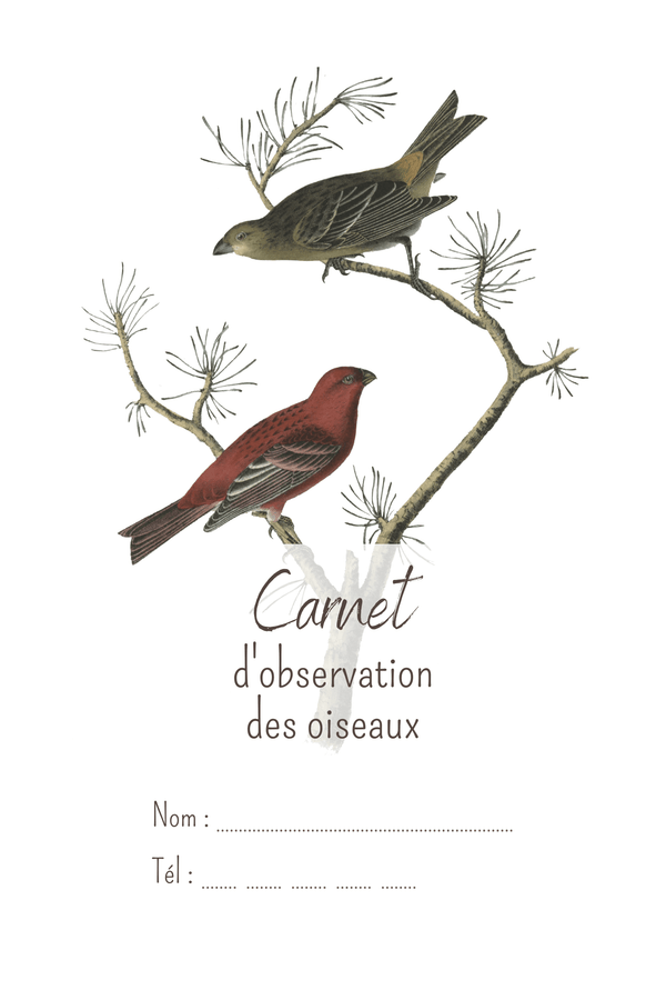 Carnet d'observation des Oiseaux Couleur 100 pages 6x9 - Kdpfastoche
